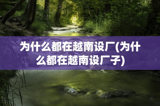 为什么都在越南设厂(为什么都在越南设厂子)