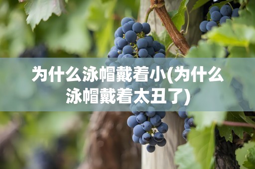 为什么泳帽戴着小(为什么泳帽戴着太丑了)