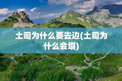 土司为什么要去边(土司为什么会塌)