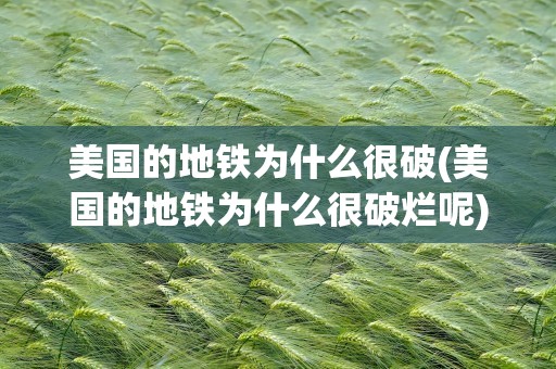 美国的地铁为什么很破(美国的地铁为什么很破烂呢)