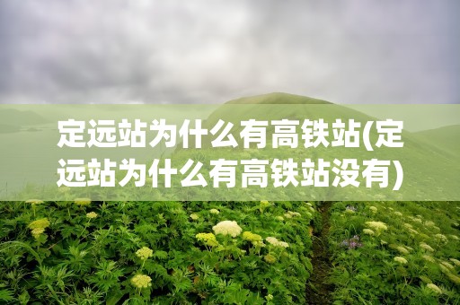 定远站为什么有高铁站(定远站为什么有高铁站没有)