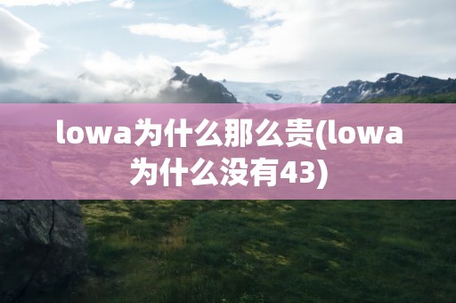 lowa为什么那么贵(lowa为什么没有43)