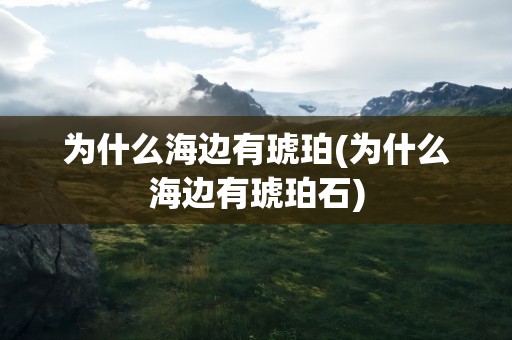 为什么海边有琥珀(为什么海边有琥珀石)