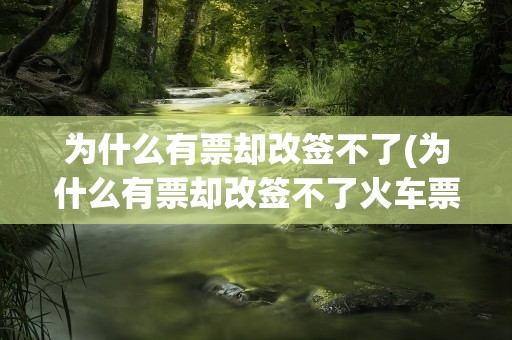 为什么有票却改签不了(为什么有票却改签不了火车票)