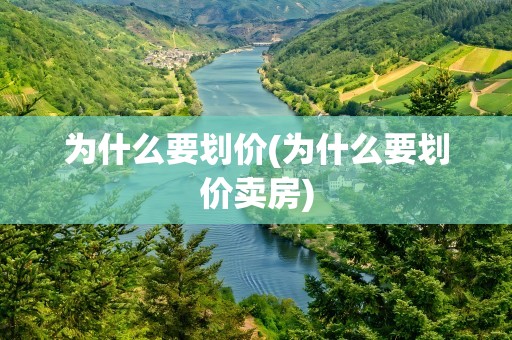 为什么要划价(为什么要划价卖房)