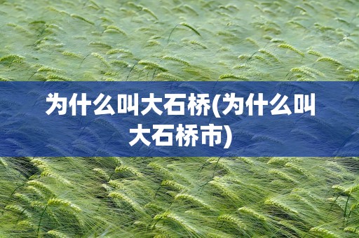 为什么叫大石桥(为什么叫大石桥市)