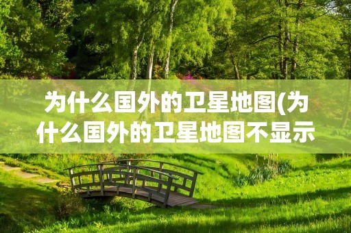 为什么国外的卫星地图(为什么国外的卫星地图不显示)