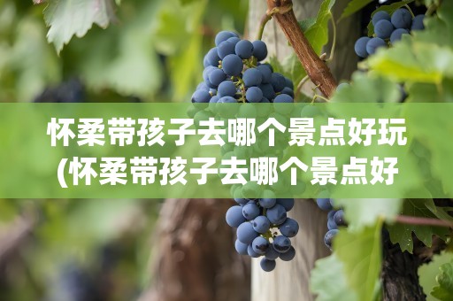 怀柔带孩子去哪个景点好玩(怀柔带孩子去哪个景点好玩呢)