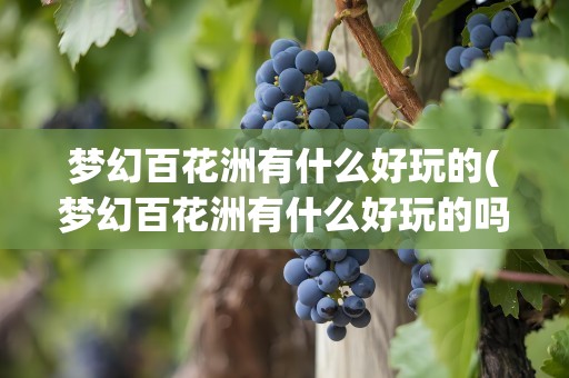 梦幻百花洲有什么好玩的(梦幻百花洲有什么好玩的吗)