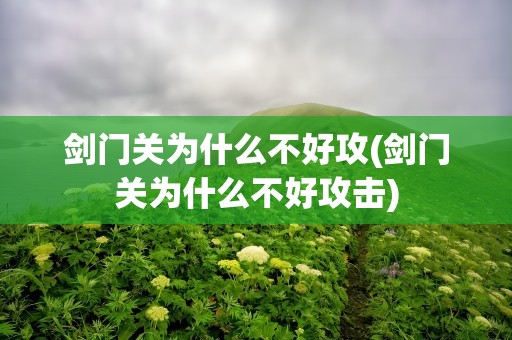剑门关为什么不好攻(剑门关为什么不好攻击)