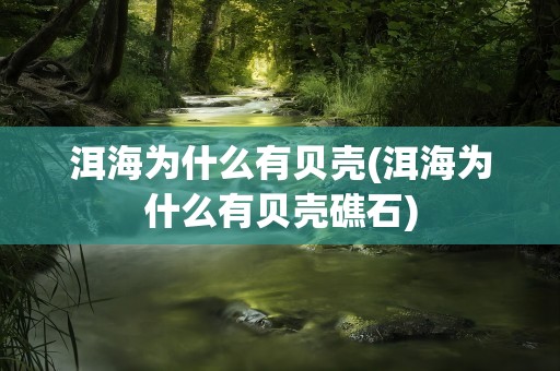 洱海为什么有贝壳(洱海为什么有贝壳礁石)