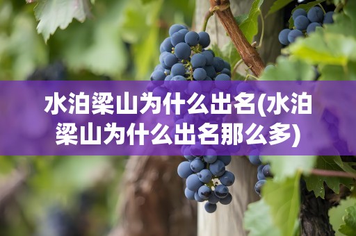 水泊梁山为什么出名(水泊梁山为什么出名那么多)