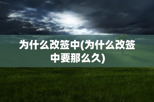 为什么改签中(为什么改签中要那么久)