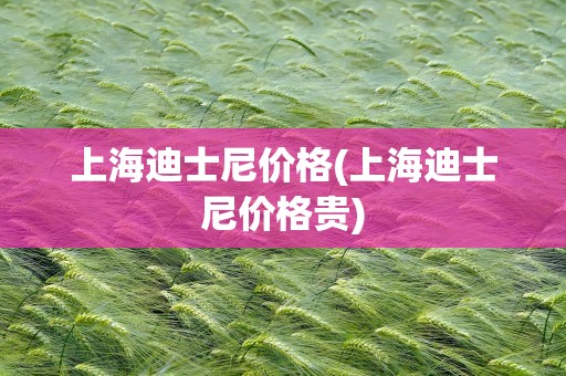 上海迪士尼价格(上海迪士尼价格贵)