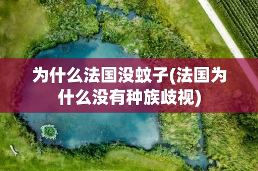 为什么法国没蚊子(法国为什么没有种族歧视)