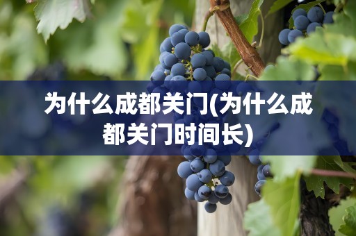 为什么成都关门(为什么成都关门时间长)