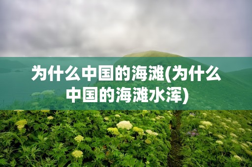 为什么中国的海滩(为什么中国的海滩水浑)