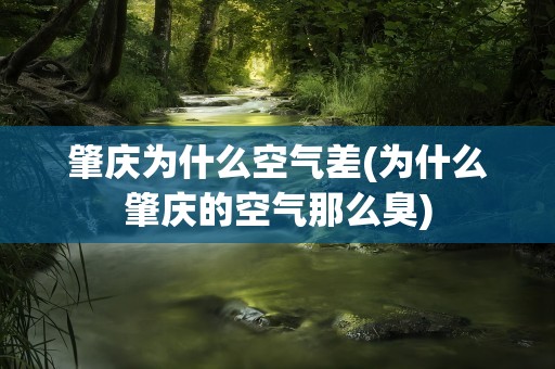 肇庆为什么空气差(为什么肇庆的空气那么臭)