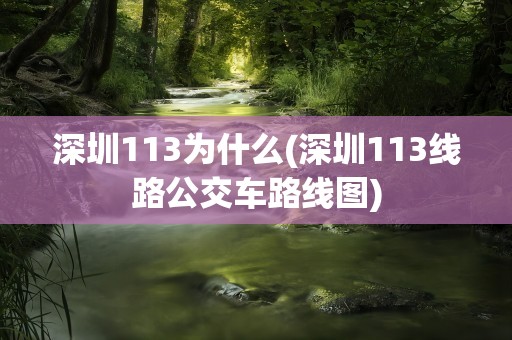 深圳113为什么(深圳113线路公交车路线图)