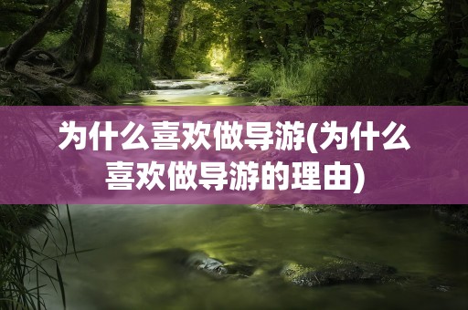 为什么喜欢做导游(为什么喜欢做导游的理由)