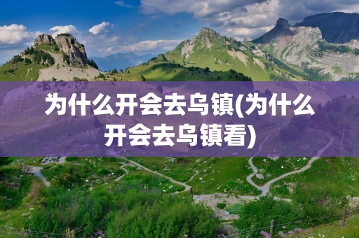 为什么开会去乌镇(为什么开会去乌镇看)