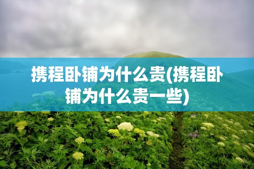 携程卧铺为什么贵(携程卧铺为什么贵一些)