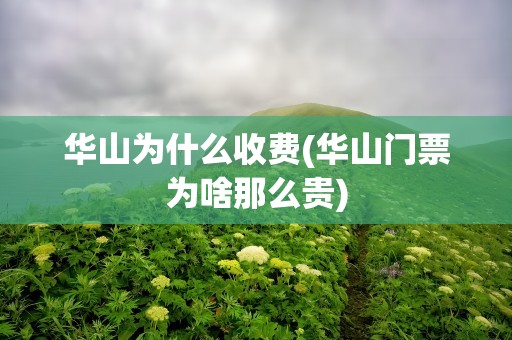 华山为什么收费(华山门票为啥那么贵)