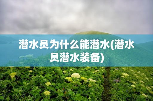 潜水员为什么能潜水(潜水员潜水装备)