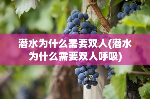 潜水为什么需要双人(潜水为什么需要双人呼吸)