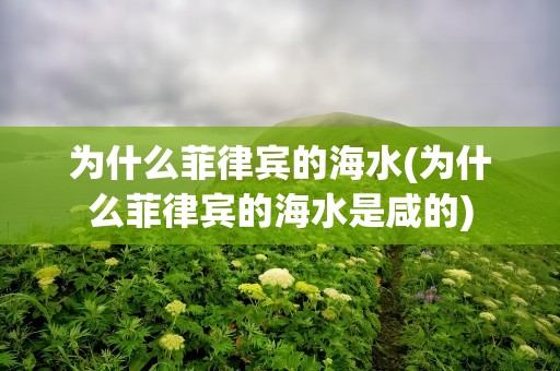 为什么菲律宾的海水(为什么菲律宾的海水是咸的)