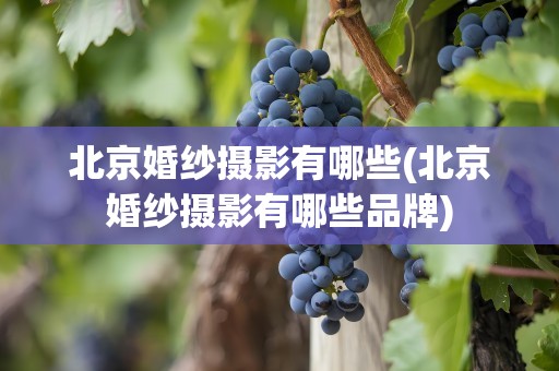 北京婚纱摄影有哪些(北京婚纱摄影有哪些品牌)
