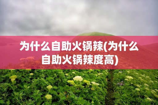为什么自助火锅辣(为什么自助火锅辣度高)