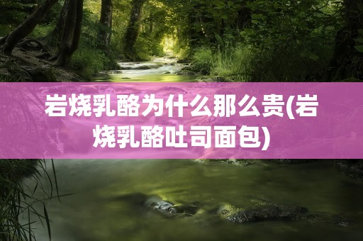 岩烧乳酪为什么那么贵(岩烧乳酪吐司面包)