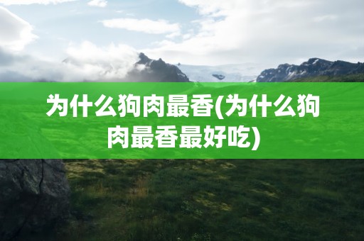为什么狗肉最香(为什么狗肉最香最好吃)
