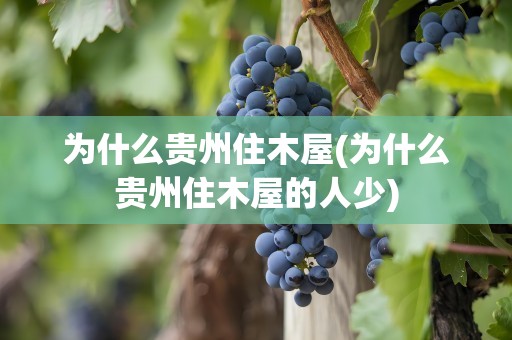 为什么贵州住木屋(为什么贵州住木屋的人少)