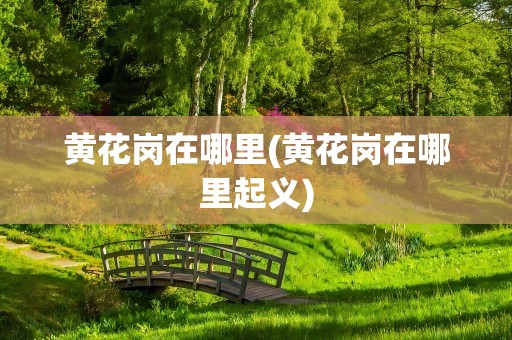 黄花岗在哪里(黄花岗在哪里起义)