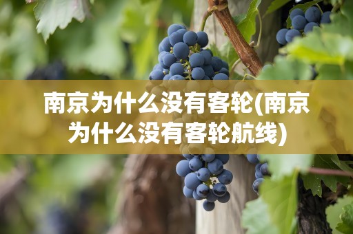 南京为什么没有客轮(南京为什么没有客轮航线)