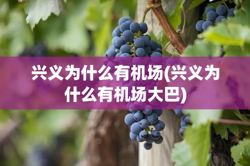 兴义为什么有机场(兴义为什么有机场大巴)