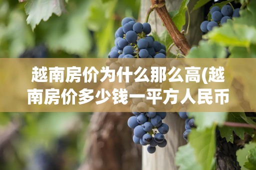 越南房价为什么那么高(越南房价多少钱一平方人民币)