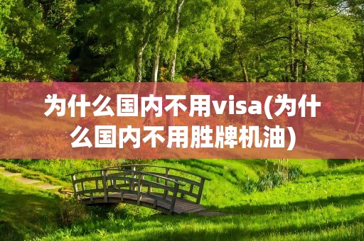 为什么国内不用visa(为什么国内不用胜牌机油)