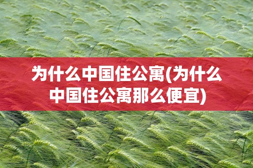 为什么中国住公寓(为什么中国住公寓那么便宜)