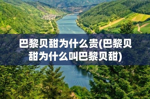 巴黎贝甜为什么贵(巴黎贝甜为什么叫巴黎贝甜)