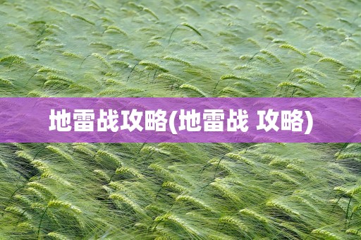 地雷战攻略(地雷战 攻略)