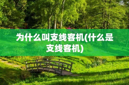为什么叫支线客机(什么是支线客机)