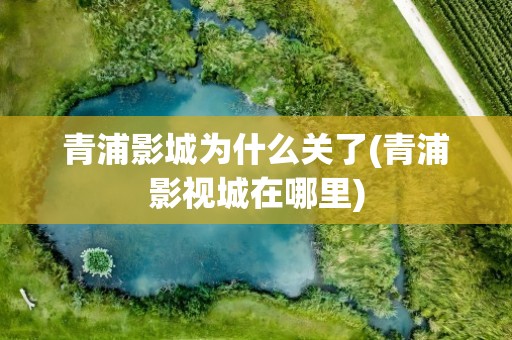 青浦影城为什么关了(青浦影视城在哪里)