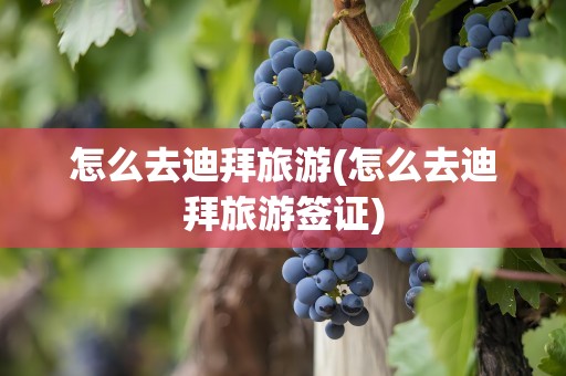 怎么去迪拜旅游(怎么去迪拜旅游签证)