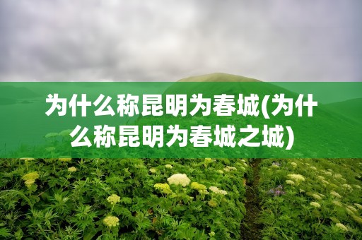 为什么称昆明为春城(为什么称昆明为春城之城)