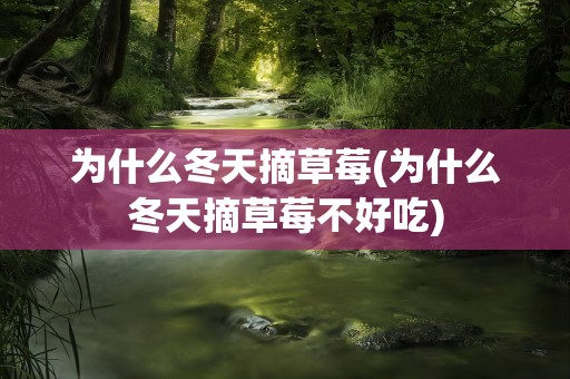 为什么冬天摘草莓(为什么冬天摘草莓不好吃)