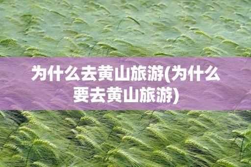 为什么去黄山旅游(为什么要去黄山旅游)