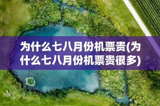 为什么七八月份机票贵(为什么七八月份机票贵很多)